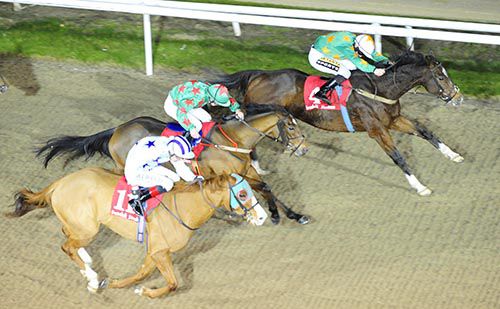 Invincible Don (far-side, Colin Keane) beats Ondamoura (centre) and Sea Bank
