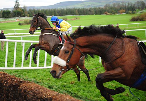 Malt Gem and Andrew Lynch tee a fence up well with a loose horse nearside