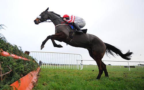 Rightville Boy and Andrew Lynch