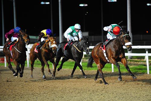 Chiclet and Pat Smullen win the 2nd at Dundalk