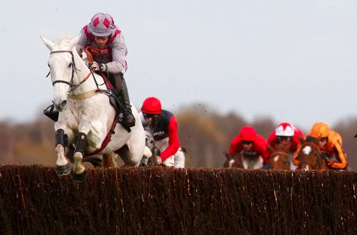 Smad Place