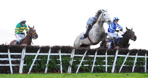 Left to right, Harvey Logan, De Benno (grey, winner, Shane Shortall) and Wilcos Mo Chara