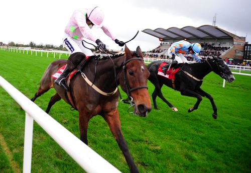 Long Dog and Bachasson could clash again at Leopardstown