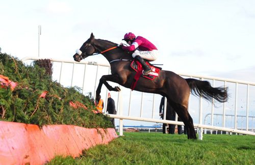 No More Heroes on course for Leopardstown