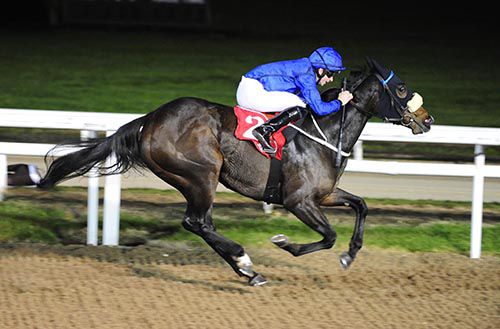 Gift Wrap and Conor Hoban