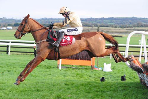 Yorkhill clears the last in Punchestown