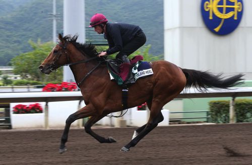 Highland Reel