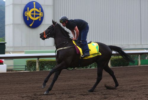 Sole Power in Sha Tin