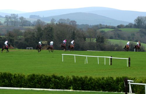 Punchestown