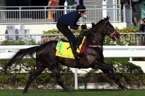 Sole Power