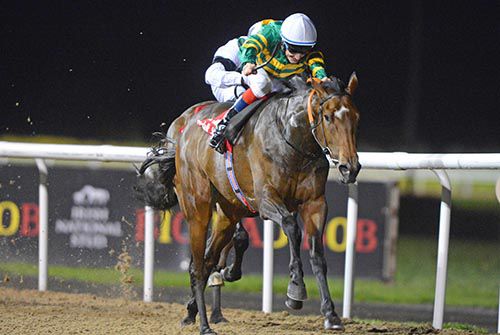 In Her Stride takes over in Dundalk 