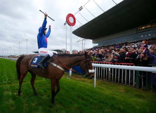 Cue Card after last year's King George