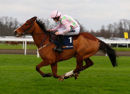 Faugheen