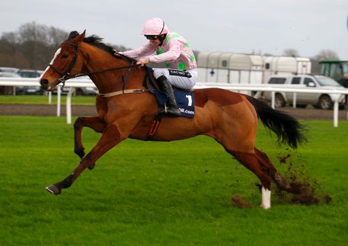 Faugheen