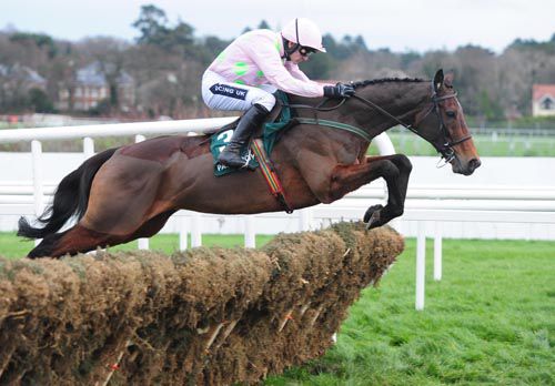 Long Dog in action at Leopardstown
