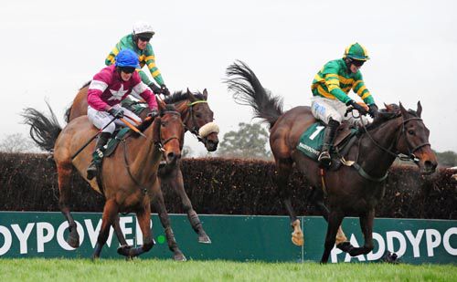 Minella Foru, noseband, clears the last in Leopardstown