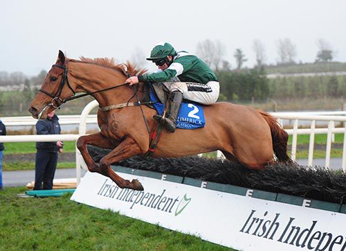 Rosie Alice in winning form at Limerick
