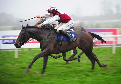 Brave Poppy is driven out by Eoin O'Brien