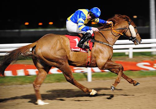 Excelli in full stride at Dundalk