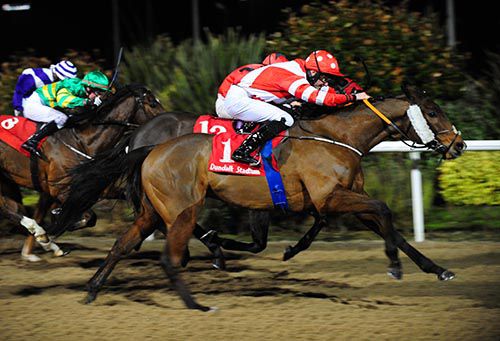 Political Policy is ridden out by Sean Corby