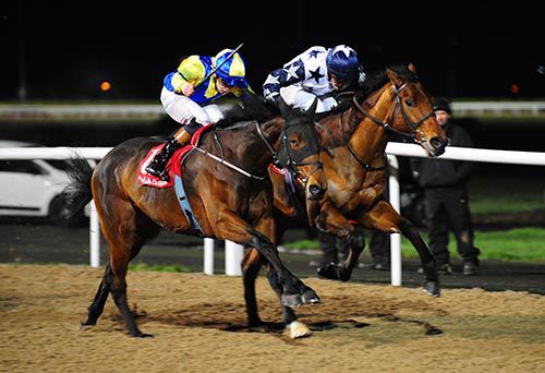Rock On Rosie (nearest) comes through to head the favourite Jimmy Kelly