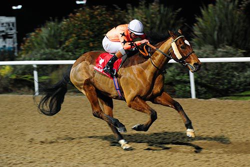 Shukhov and Ronan Whelan pictured on their way to victory