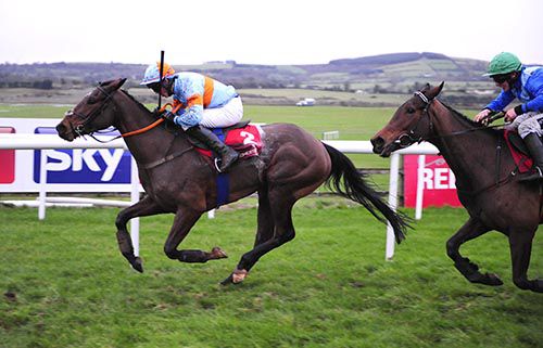 Elusive Ivy and Breen Kane win for trainer Gavin Cromwell from Leaders Questions and Phillip Enright