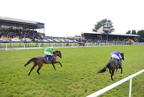 The mare is beginning to get up - Aunt Nora (David Mullins, left) stays on best to beat Queens Wild