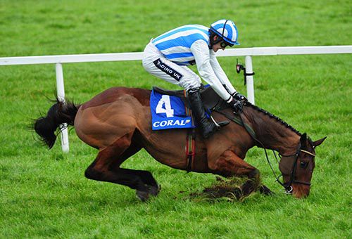 Killultagh Vic recovered from this error to win at Leopardstown