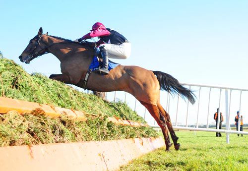 Sunsetstorise and Ger Fox