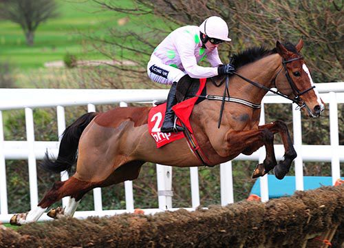 Faugheen is set to take on Buveur D'Air in the Aintree Hurdle