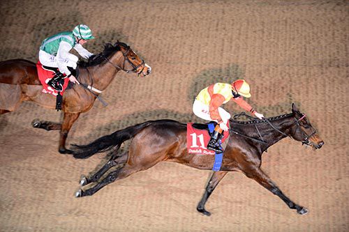Kiss The Stars beats Primo Uomo into second