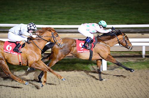 Maronella keeps on best in Dundalk