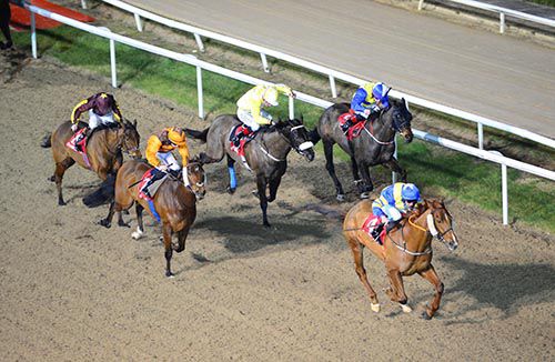 Excelli and Michael Hussey in charge at Dundalk