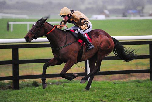 Battleford and Patrick Mullins race to victory