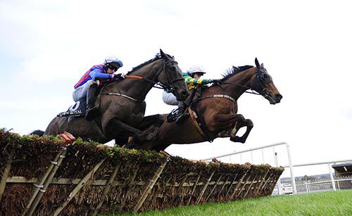 Coolaghknock Glebe (far side) claims Tyrone Tiger over the last