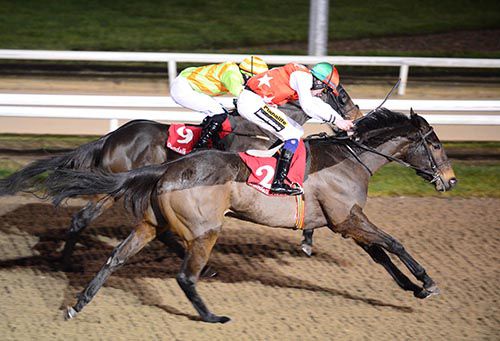 Mr Right and Donagh O'Connor (nearside) get up to beat Times In Anatefka