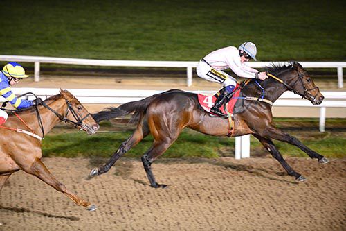 Chewy Round Town and Donagh O'Connor come home in front of Charlies Missile