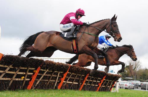 Burgas (near side) and Bryan Cooper on their way to victory