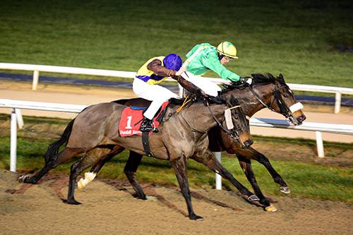 Long Journey Home (Billy Lee) gets back up on the rail to beat Corker Hill