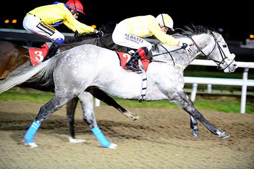 Captain Joy and Pat Smullen finish ahead of Geological 