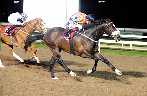 Hat Alnasar and Pat Smullen lead McGuigan home