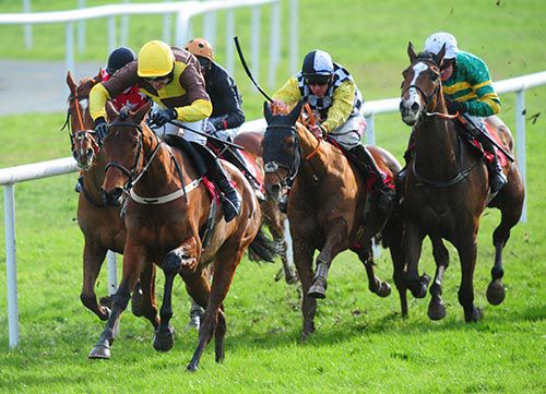 Ruby Walsh (yellow and brown) strikes on for the win on Bellow Mome