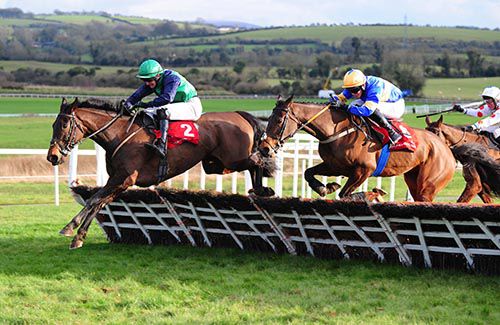 Ballybrowney Ella (Ambrose McCurtin) leads Midnight Theatre over the last