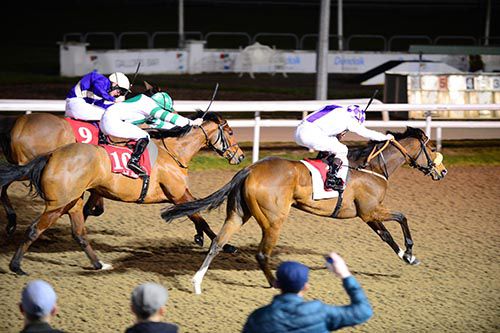 Bridle Path and Kevin Manning swoop to conquer nearside