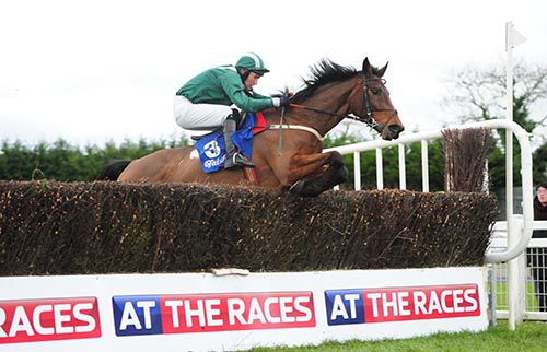 Salsify and Richie Harding