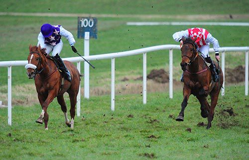 Socksy (left) claims Freeway Space  