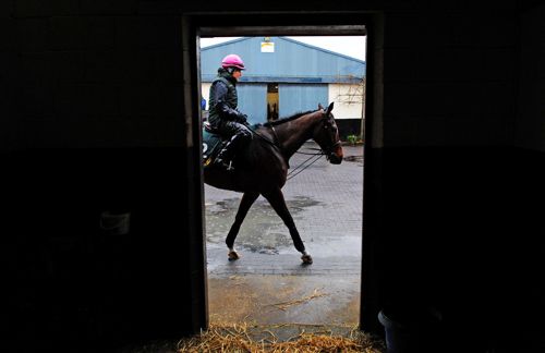 Un De Sceaux headed for Sandown