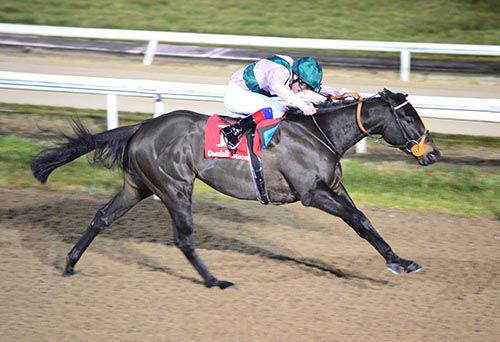 Bear Faced and Declan McDonogh