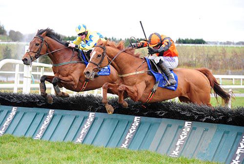 Monasteradenpauric (nearest) and Seskinane jump the last together
